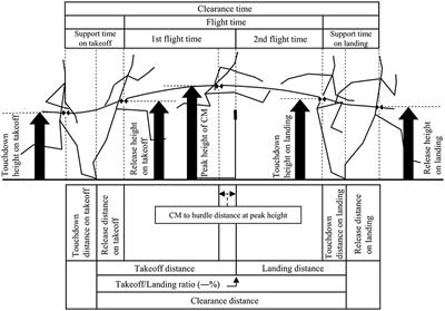 Do Different Hurdle Heights Alter Important Spatiotemporal Variables in Hurdle Clearance?